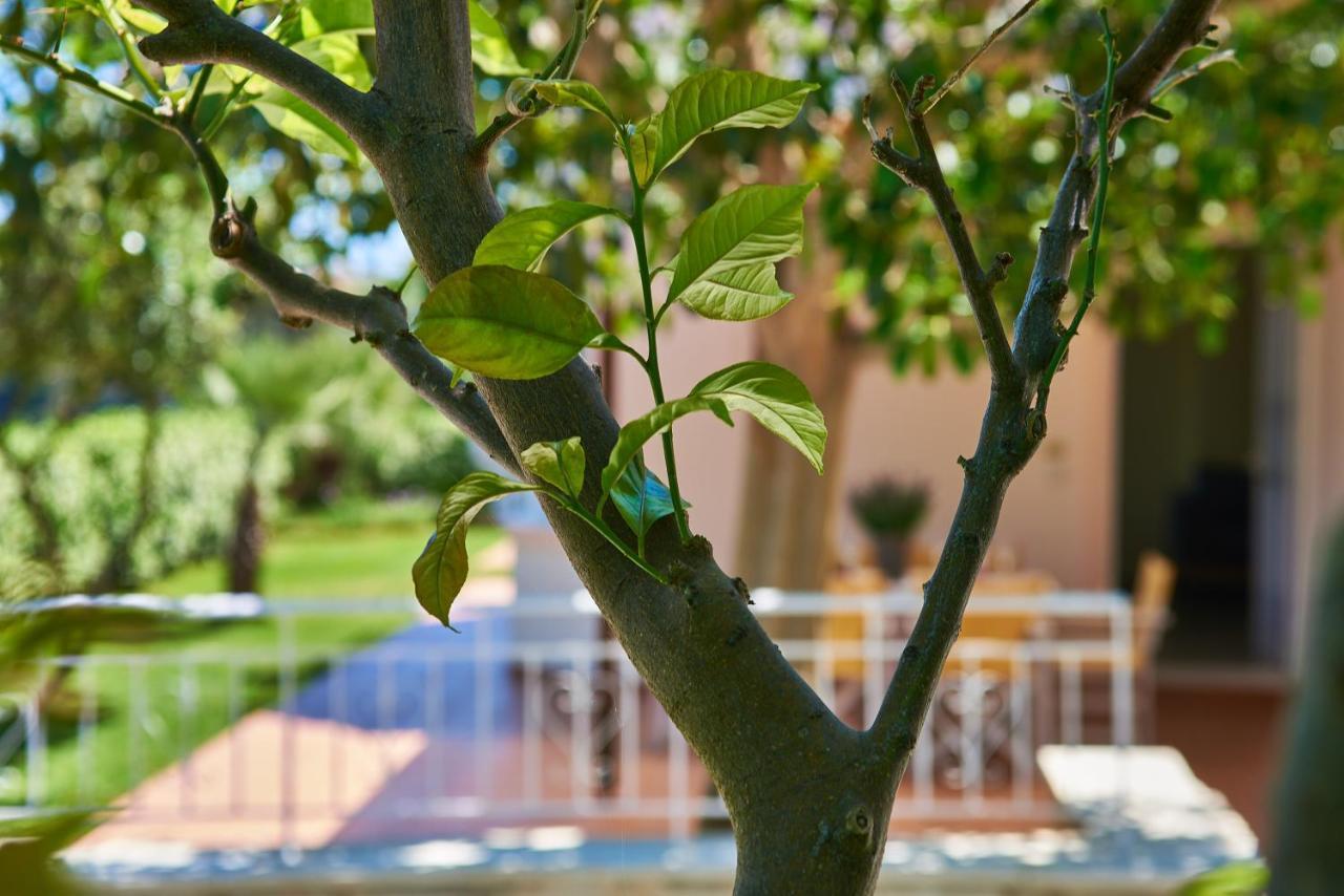 Palio Gerani Villa Moma מראה חיצוני תמונה